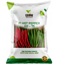 Chilli / Hot Pepper F1 GD-75 10 grams